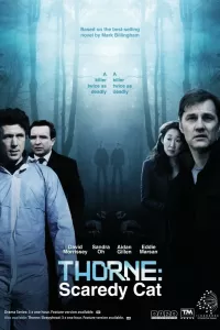 Торн: Пуганая ворона (2010) смотреть онлайн